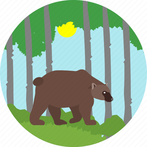 Animal, bear, camp, forest, camping, evening, sunset icon - Download on Iconfinder