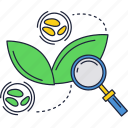 biology, green, magnifier, plant