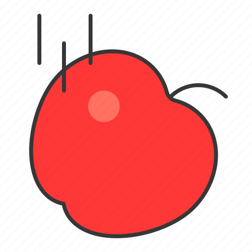 Apple, education, fall, fruit, gravity, science, food icon - Download on Iconfinder