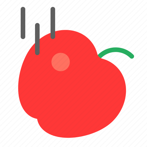 Apple, education, fall, gravity, learning, school, science icon - Download on Iconfinder