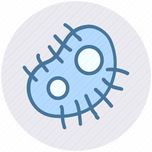 Bacteria, biology, cells, medical, science, virus icon - Download on Iconfinder