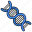 dna, deoxyribonucleic acid, dna strand, genetic material, double helix strand 