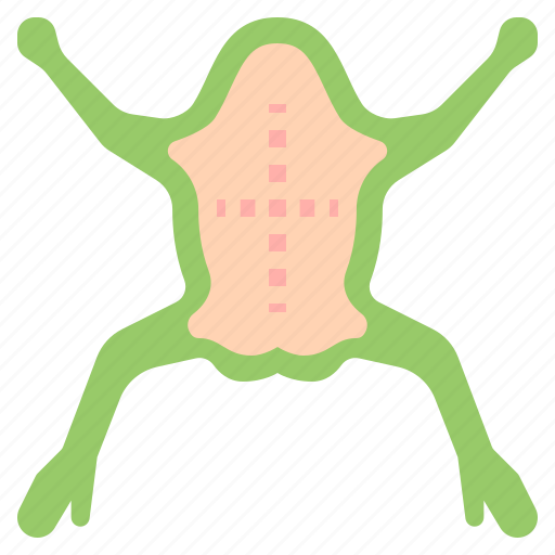 Frog, surgical, dissection icon - Download on Iconfinder