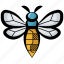 bee, honey bee, queen bee, wasp, bug 