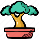 bonsai, bonsai tree, dwarf tree, plant, tree