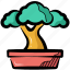 bonsai, bonsai tree, dwarf tree, plant, tree 
