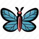butterfly, moth, lepidopteran, winged insect, insect