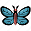 butterfly, moth, lepidopteran, winged insect, insect 
