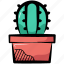 cactus, succulent, agave, prickly pear, cacti 
