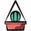 cactus, houseplant, cactus plant, potted cactus, hanging pot 