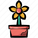 sunflower, flower, marigold, plant, potted flower