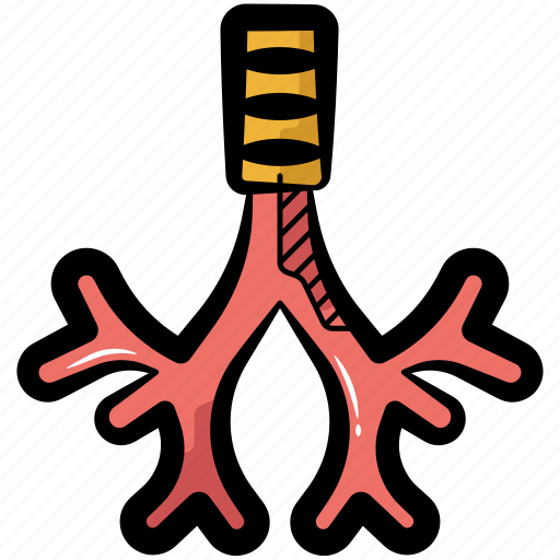 Bronchus, pulmonary, trachea, respiratory, throat icon - Download on Iconfinder