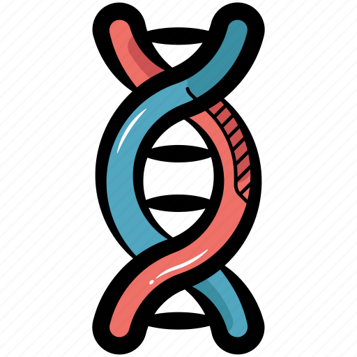 Dna, dna helix, dna chain, rna, chromosome icon - Download on Iconfinder