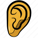 ear, human ear, hear, listen, sound