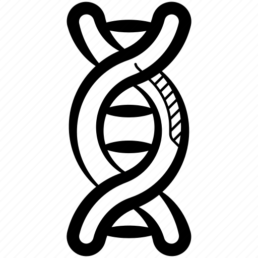 Dna, dna helix, dna chain, rna, genetics icon - Download on Iconfinder