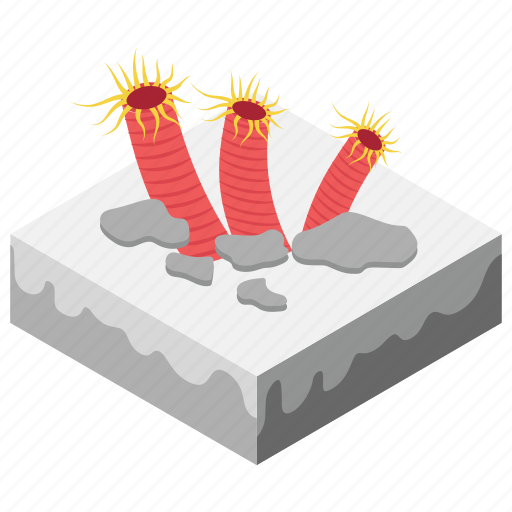 Coral island, coral reef, rock barrier, sea coral, shoal, skerry icon - Download on Iconfinder