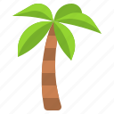 coconut, tree, palm, tropical, plant, beach