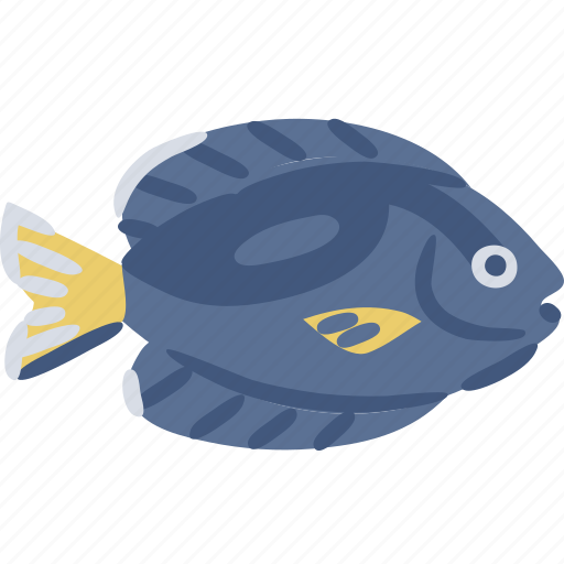 Blue, tang, aquarium, fish, ocean, sea icon - Download on Iconfinder
