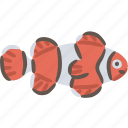 clownfish, orange, fish, ocean, sea