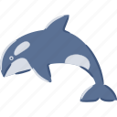 killer, whale, orca, oceanic, dolphin, aquarium