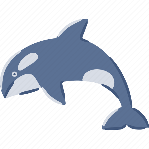 Killer, whale, orca, oceanic, dolphin, aquarium icon - Download on Iconfinder