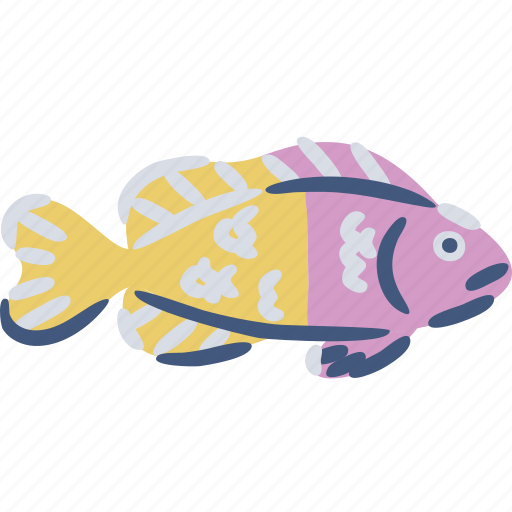 Royal, dottyback, paccagnellae, fish, sea, ocean icon - Download on Iconfinder