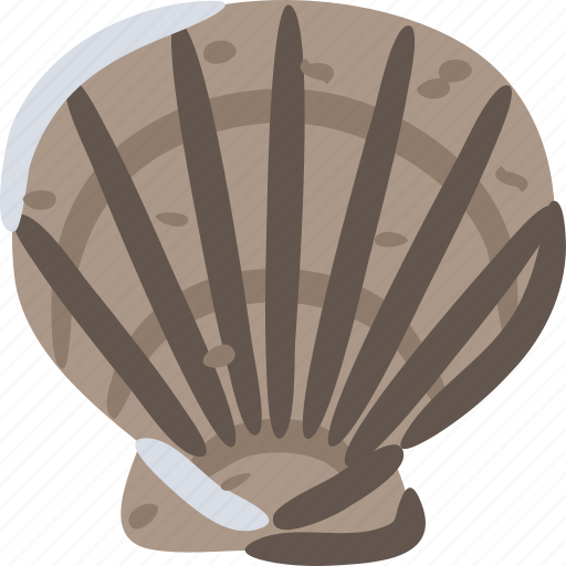 Scallop, marine, bivalve, mollusc, shell, sea, ocean icon - Download on Iconfinder