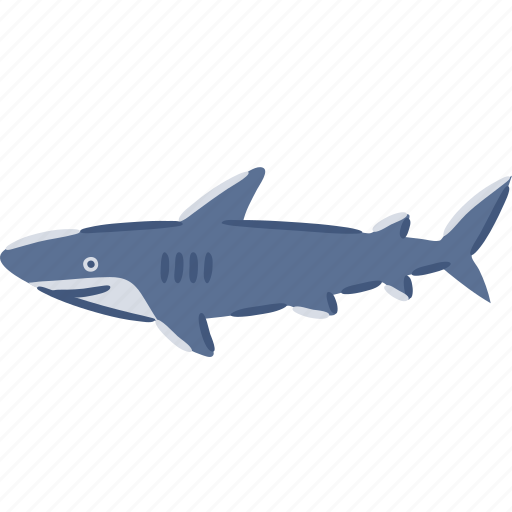 Shark, elasmobranch, fish, ocean, sea icon - Download on Iconfinder