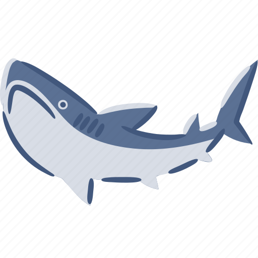 Shark, elasmobranch, fish, sea, ocean icon - Download on Iconfinder