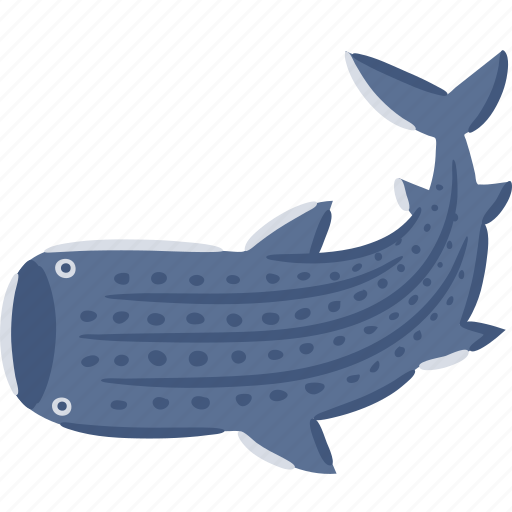 Shark, whale, rhincodon, typus, fish, sea, ocean icon - Download on Iconfinder