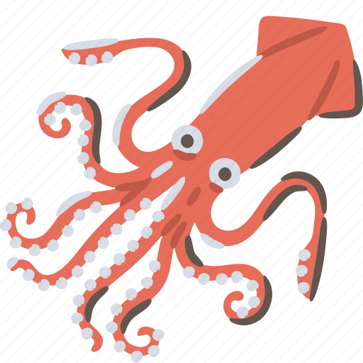 Squid, cephalopods, sea, food, ocean icon - Download on Iconfinder