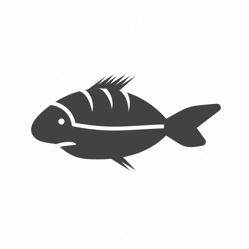 Animal, fish, ocean, shark, sharks, underwater, white icon - Download on Iconfinder