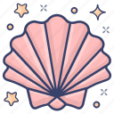 bivalve mollusc, clam shell, cockle, seashell, shellfish 