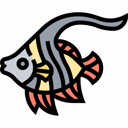 Angelfish, fish, animal, aquatic, aquarium icon - Download on Iconfinder
