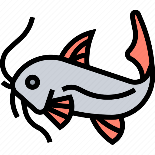 Catfish, fish, animals, fishing, food icon - Download on Iconfinder