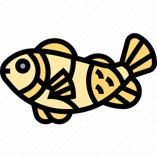 Clownfish, fish, nemo, underwater, aquarium icon - Download on Iconfinder