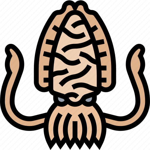 Cuttlefish, squid, invertebrate, marine, aquarium icon - Download on Iconfinder
