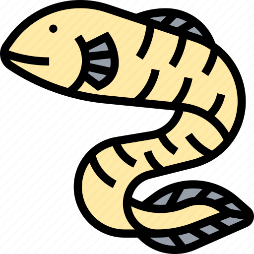 Eel, moray, aquatic, animal, sea icon - Download on Iconfinder
