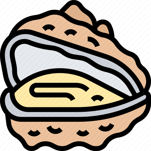 Oyster, shell, mollusk, seafood, gourmet icon - Download on Iconfinder