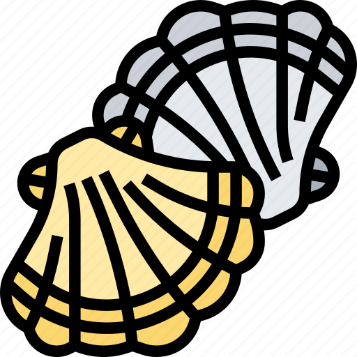 Scallop, shell, mollusk, seafood, gourmet icon - Download on Iconfinder