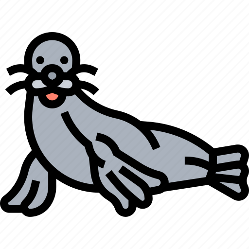 Sealion, seal, marine, mammal, underwater icon - Download on Iconfinder