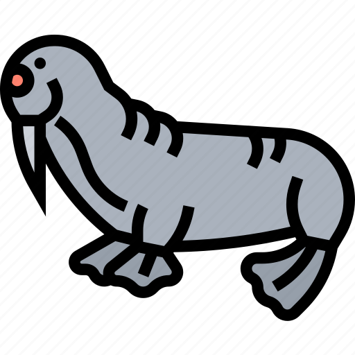 Walrus, flippers, mammals, tusk, arctic icon - Download on Iconfinder