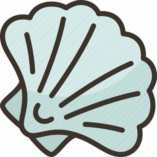 Scallop, seashell, mollusk, food, gourmet icon - Download on Iconfinder
