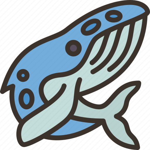 Whale, marine, fauna, wildlife, underwater icon - Download on Iconfinder