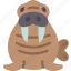 walrus, tusk, mammal, marine, arctic 