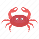 cancer zodiac, crab, crawfish, crayfish, lobster, prawn, seafood