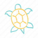 turtle, tortoise, sea, reef, animal