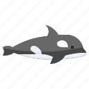 orca, animal, shape, silhouette, kingdom