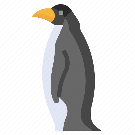 Penguin, zoo, animals, wildlife, kingdom icon - Download on Iconfinder