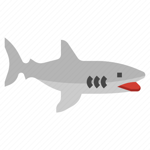 Shark, animal, aquarium, sea, life, aquatic icon - Download on Iconfinder